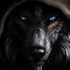 foto do perfil darkwolf